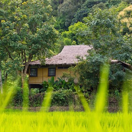 Hmong Hilltribe Lodge Mae Rim Zewnętrze zdjęcie