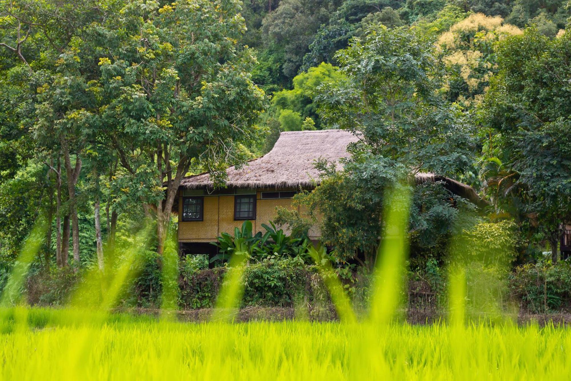Hmong Hilltribe Lodge Mae Rim Zewnętrze zdjęcie